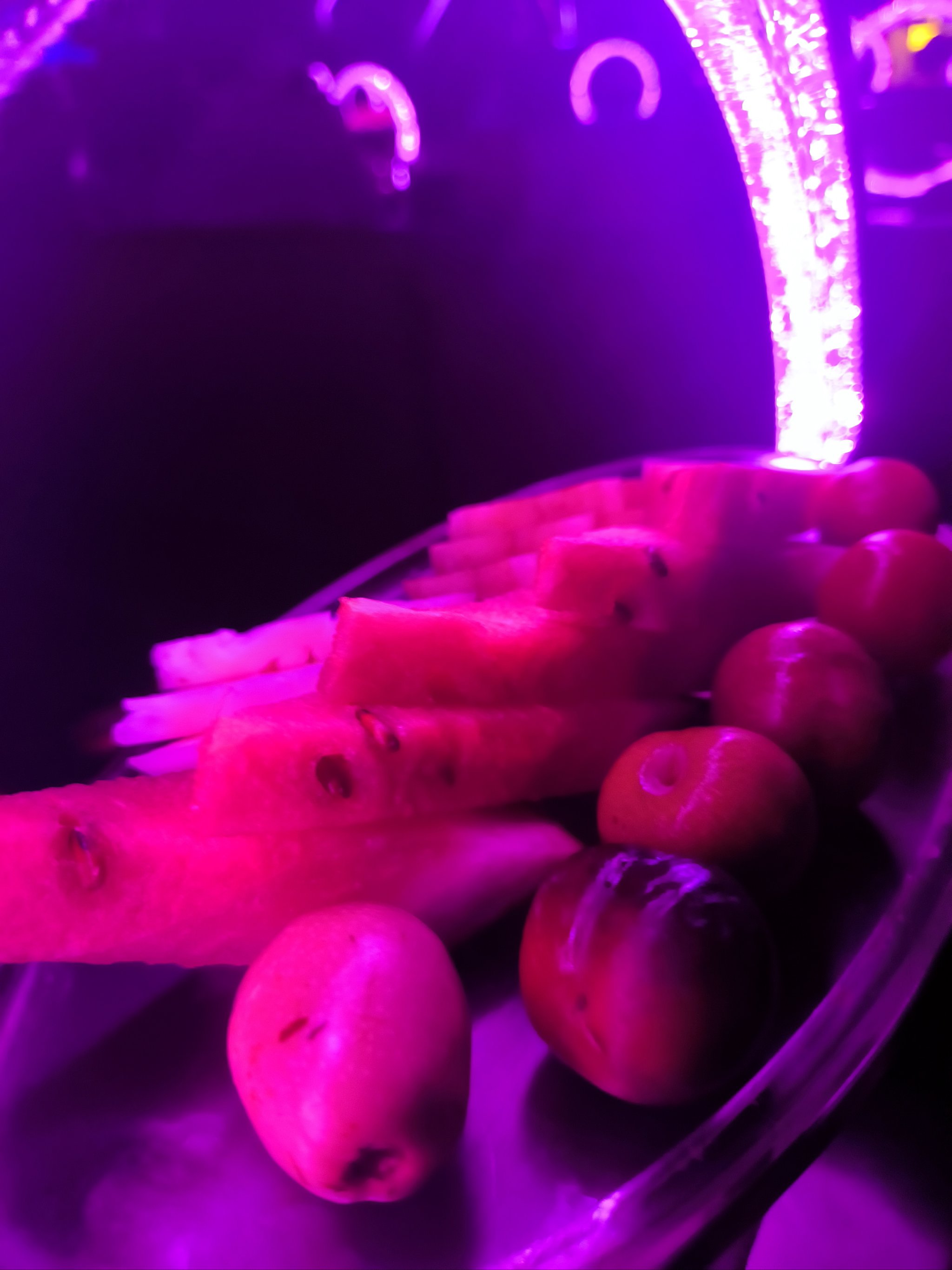 湖州商务ktv引领商务ktv新模式-德清县ktv预订